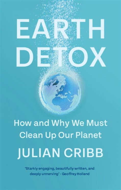 earth mud tub cleaner from book|EARTH DETOX .